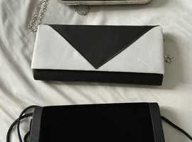 Evening dress bags