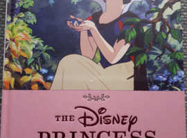 The Disney princess book