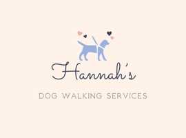 Dog walking
