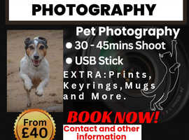 Pet Photography