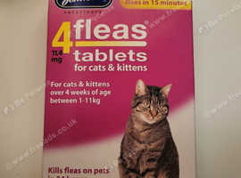 Johnsons 4fleas Flea Treatment For Cats & Kittens