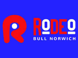 How Can You Ride the Mechanical Bull Safely and Have a Blast?