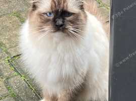 Missing from tuffley gloucester