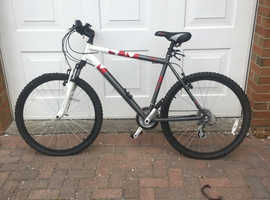 Raleigh freeride best sale