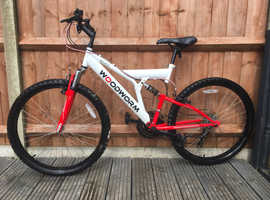 Woodworm gxi cheap mountain bike