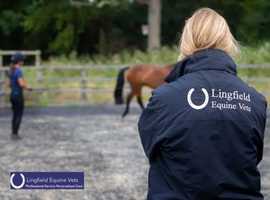 Equine Healthcare Surrey - Lingfield Equine Vets