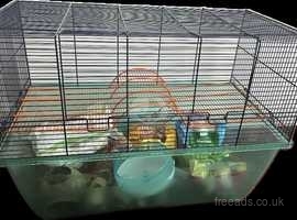 Gerbil cage and accessories