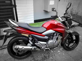 Suzuki inazuma 20