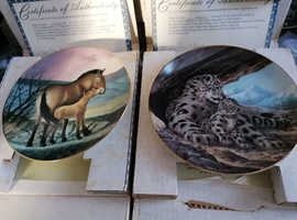 Collectible plates x10