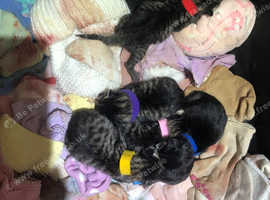 6 gorgeous part Bengal kittens