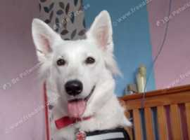 QUEENY