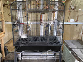Superb huge cage for cockatiels etc