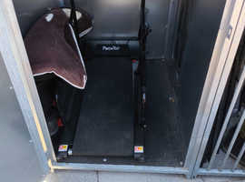 Dog treadmill