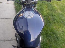 Bandit 1200