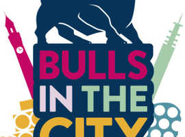 Bulls in the City
