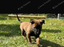 Lovely strong boys  all reserved
