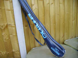 Two Hockey sticks and a case.