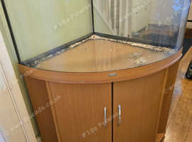FREE 190l Juwel Trigon fish tank. No lid