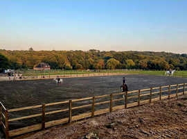 Livery Rowebuck Stables Isfield Uckfield in Uckfield