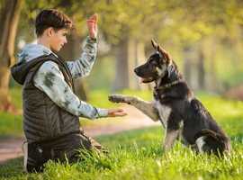 Fix Bad Behavior in Just Days - Download the Guide!