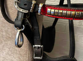 Horse harness bridles