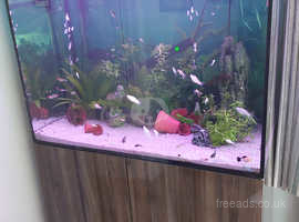 249L Tropical fish tank with stand/unit