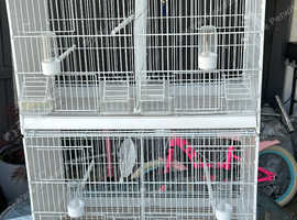 Double Italian GR2 breeding cages