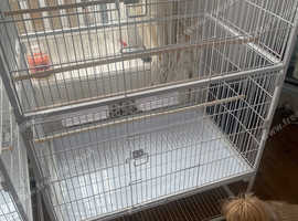 2 paw hut cages