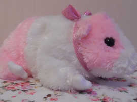 TY beanie Rosa Guinea pig 19th August 2004