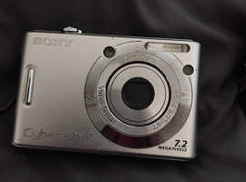 2 cameras one sony