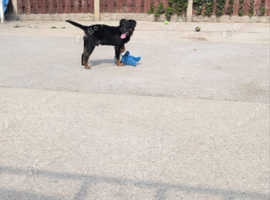 Lovely boy