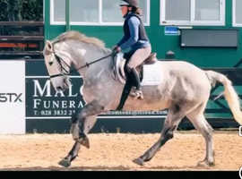 Emily super all rounder