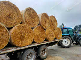Straw