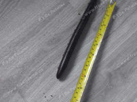 Giant African train millipede