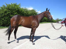 Pretty 3yr RoR eligible