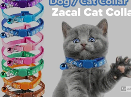 west ham cat collar