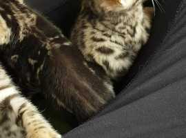 Afvwpyjftcgjnm Afvwpyjftcgjnm