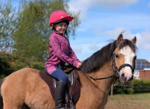 Adorable dun children's pony