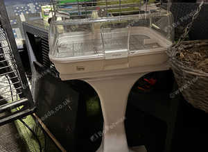 Vision cage and stand