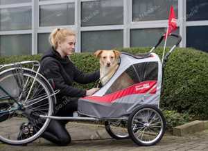 Dog Trailer