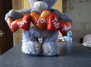 Me too you valentine bear