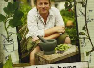 (395) Jamie at Home dvd, new!