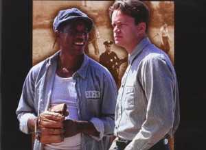 (203) The Shawshank Redemption dvd