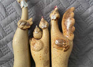 China chicken family
