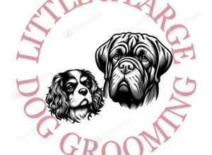 Little and Large dog grooming business