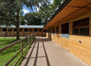 Looking for 3-4 passionate equestrians (UK-based, 19+) to join me in starting a shared livery & training yard business