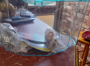 Fish Tank