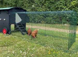 Plastic chicken coop - Green Frog / Nestera