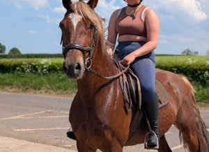 Gorgeous registered Welsh mare