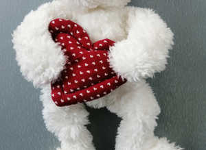 A White 16" Shaggy Boyds Bear with Heart.